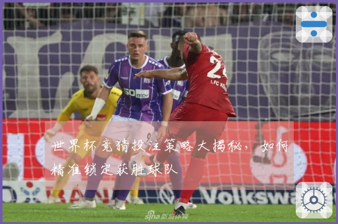世界杯竞猜投注策略大揭秘，如何精准锁定获胜球队