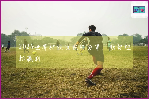 2026世界杯投注技巧分享，助你轻松赢利