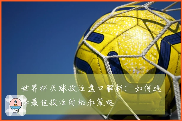 世界杯买球投注盘口解析：如何选择最佳投注时机和策略