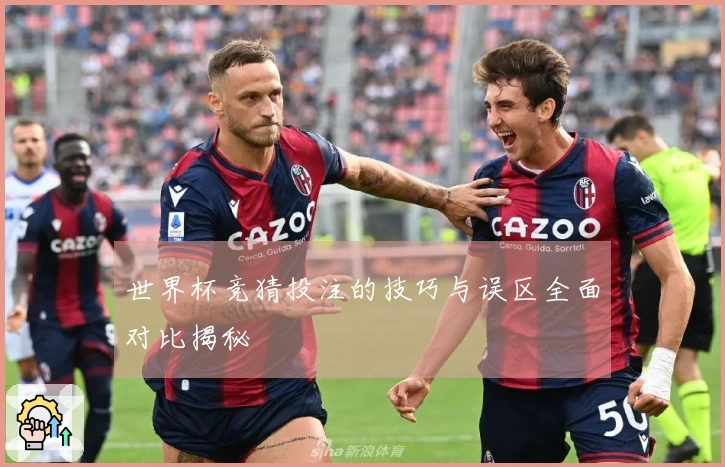 世界杯竞猜投注的技巧与误区全面对比揭秘