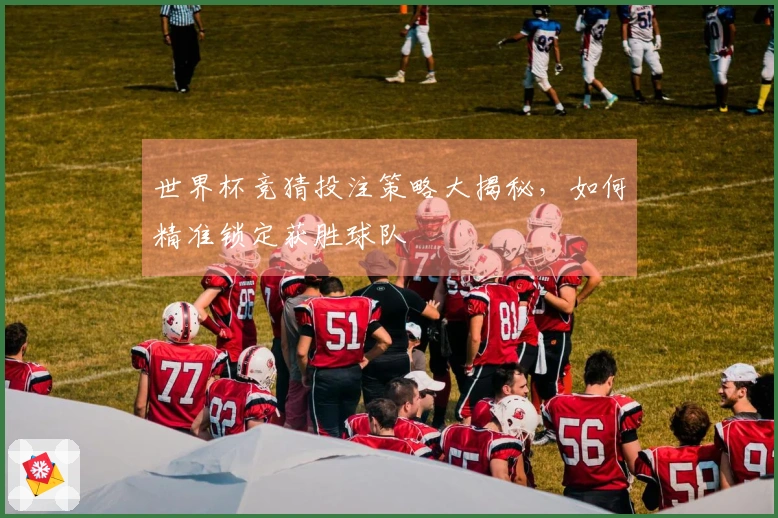 世界杯竞猜投注策略大揭秘，如何精准锁定获胜球队