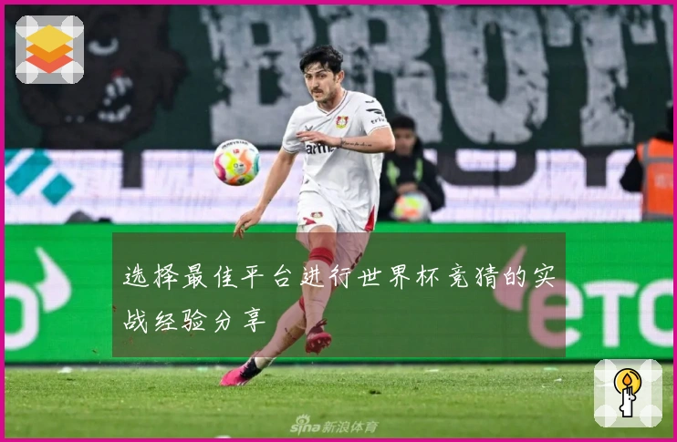选择最佳平台进行世界杯竞猜的实战经验分享