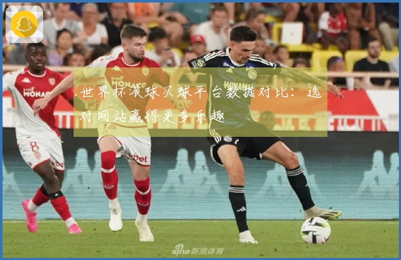 世界杯滚球买球平台数据对比：选对网站赢得更多乐趣