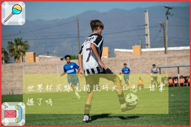世界杯买球竞猜技巧大汇总，你掌握了吗