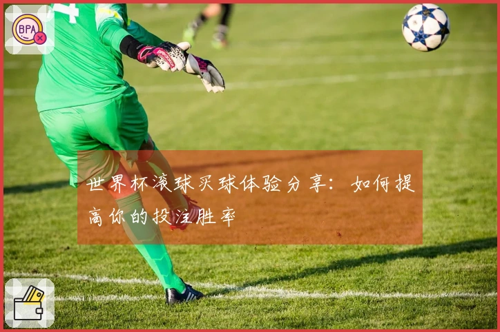 世界杯滚球买球体验分享：如何提高你的投注胜率