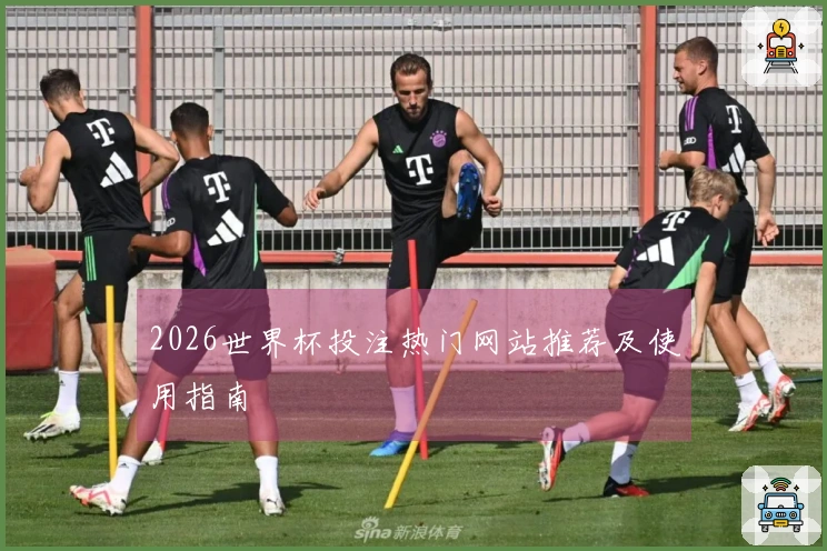 2026世界杯投注热门网站推荐及使用指南