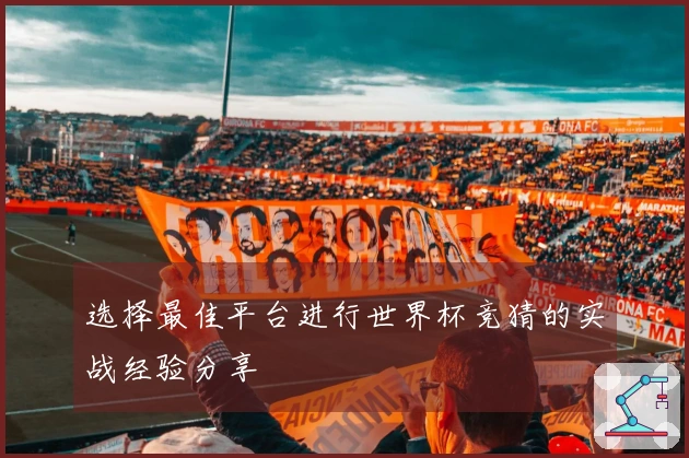 选择最佳平台进行世界杯竞猜的实战经验分享