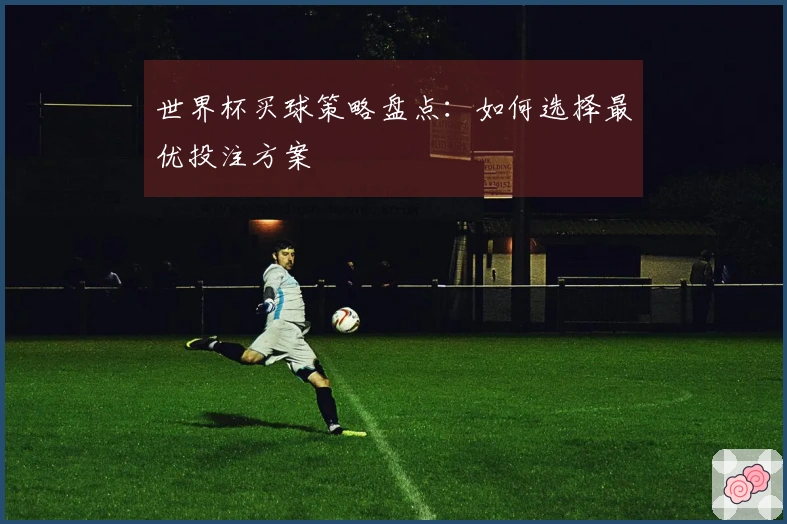 世界杯买球策略盘点：如何选择最优投注方案