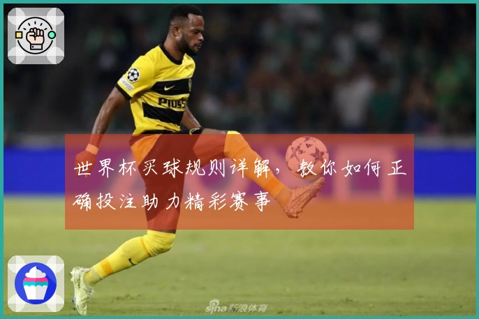 世界杯买球规则详解，教你如何正确投注助力精彩赛事