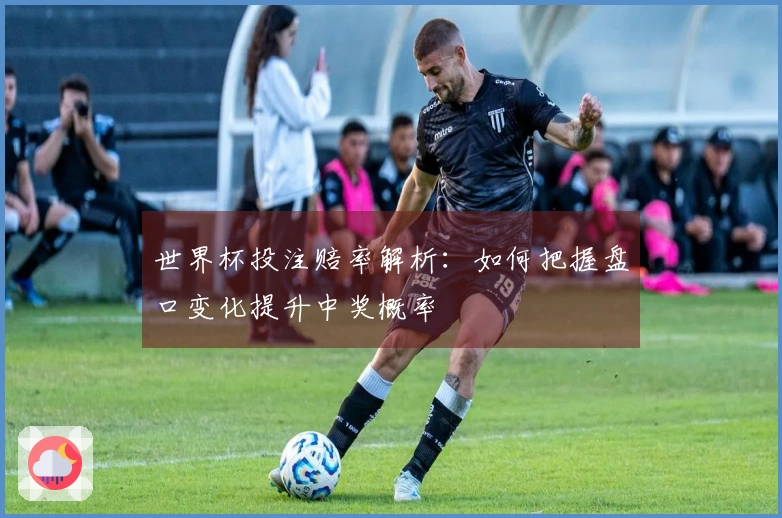世界杯投注赔率解析：如何把握盘口变化提升中奖概率