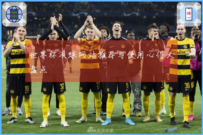 世界杯滚球网站推荐与使用心得大盘点