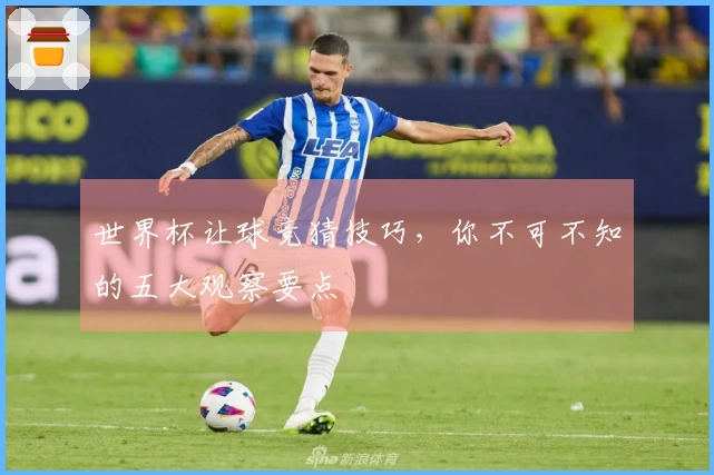世界杯让球竞猜技巧，你不可不知的五大观察要点