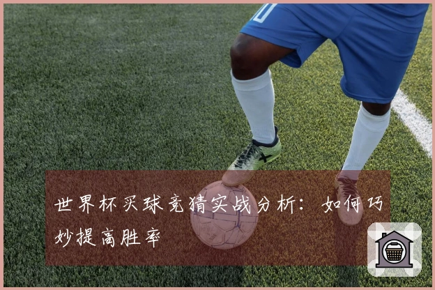 世界杯买球竞猜实战分析：如何巧妙提高胜率