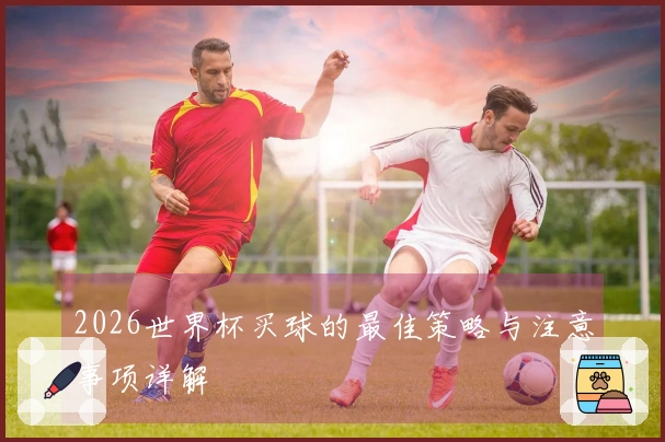 2026世界杯买球的最佳策略与注意事项详解