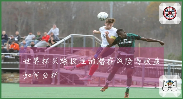 世界杯买球投注的潜在风险与收益如何分析